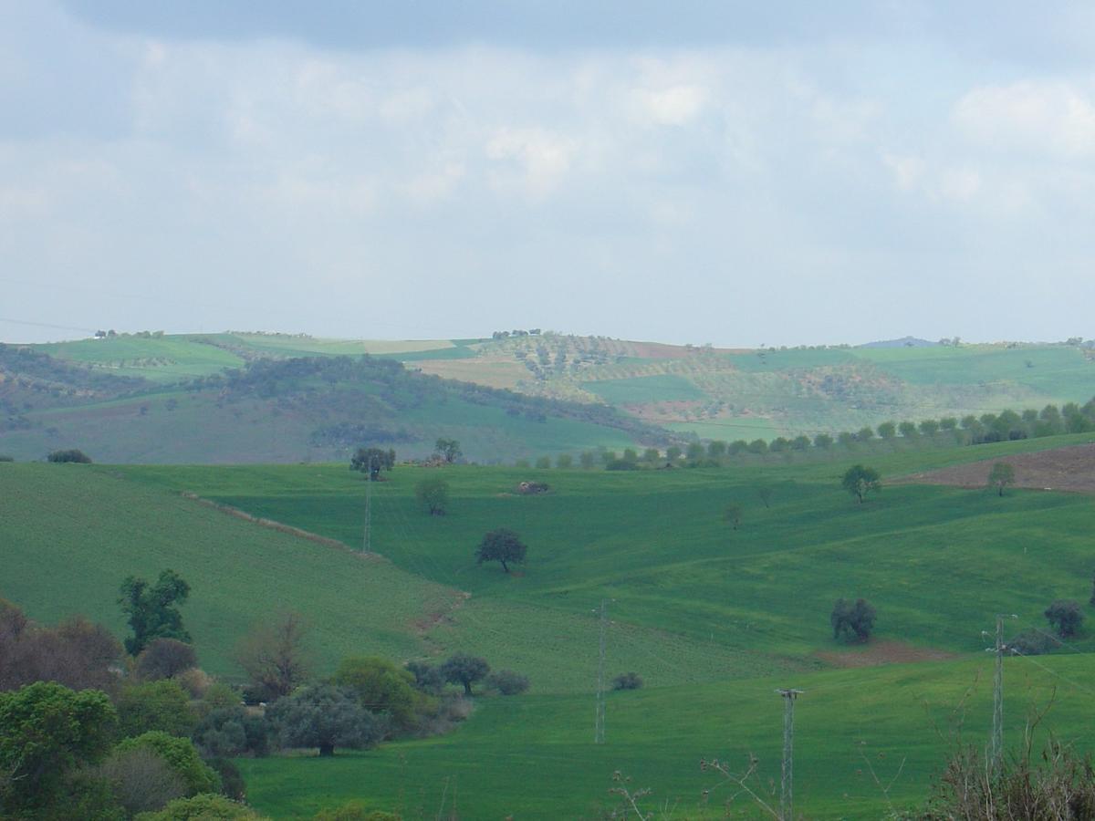 לינה וארוחת בוקר קאסברמחה El Lagar De Pepe מראה חיצוני תמונה